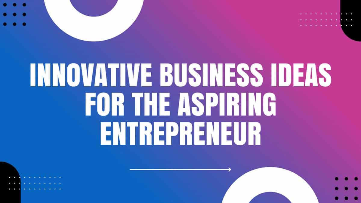 Innovative Business Ideas for the Aspiring Entrepreneur